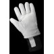 Premium Goatskin Leather Insulated Freezer Gloves