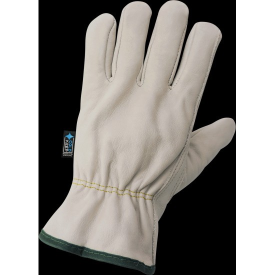 Cowhide Leather Insulated Driver Style Retail-Tagged Gloves 