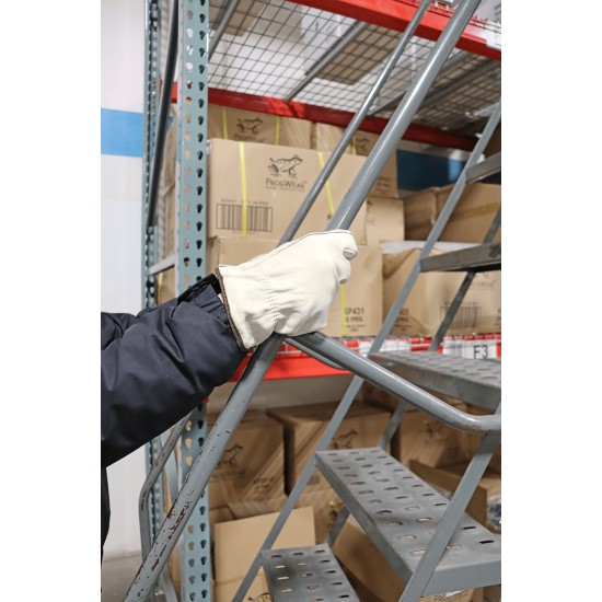 Cowhide Leather Insulated Driver Style Retail-Tagged Gloves 