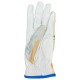 Life's A Beach Women's Golf Glove